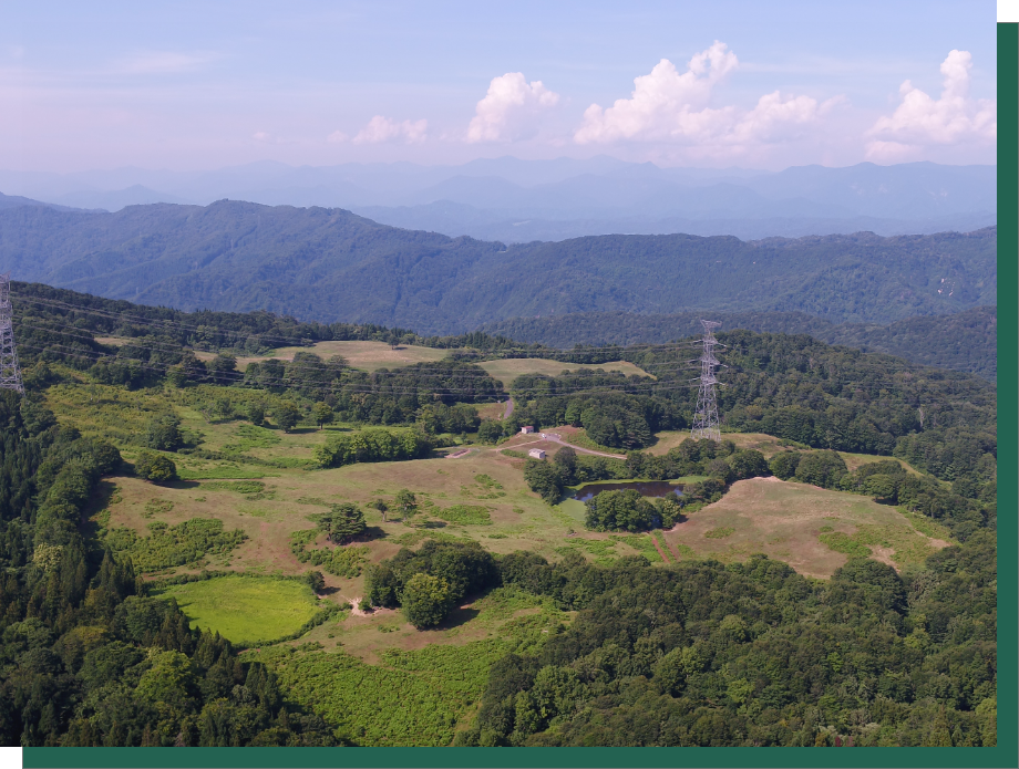 市野沢牧場：全景